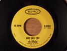 The Remains Why Do I Cry/My Babe RARE  Garage 1965 Epic B side Non-LP