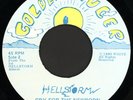 HELLSTORM Cry For The Newborn 45 Golden Ruler Rare TX Psychedelic Funk M-