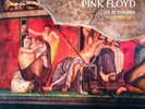 PINK FLOYD Live At Pompeii  October 1971 GREEN MARBLE & BROWN MARBLE VINYL 2LPs