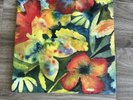 Songs and Instrumentals by Lenker, Adrianne (Record, 2020)