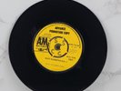 The Flying Burrito Bros – The Train Song  7