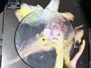 THE CURE - HEAD ON THE DOOR - PICTURE DISC - RSD 2025 VINYL RECORD In -Hand