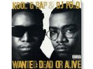 Kool G. Rap & D.J. Polo - Wanted: Dead or Alive (LP, Album)