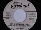 R&B Rocker 45 LULA REED Ain't No Cotton Pickin' Chicken FEDERAL promo HEAR e