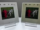 Rush Signals Vinyl LP and 