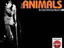 The Animals - Retrospective (2LP) (Vinyl)