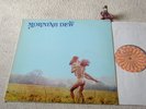 MORNING DEW s/t VERY RARE ORIGINAL 1970 US PSYCH LP ROULETTE SR 42049