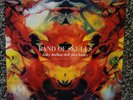 Band Of Skulls - Baby Darling Doll Face Honey - 2009 OG Debut w/Poster NM/NM