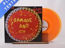 The Jesus And Mary Chain Damage And Joy Double LP Album Vinyl Record - NM/NM
