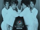 VARIOUS ARTISTS SHRINE NORTHERN THE 60'S RAREST DANCE LABEL LP MINT