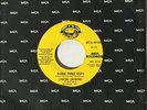 Lynyrd Skynyrd-Gimme Three Steps-ORIG. 1973 SOTS PROMO 45-NM/UNPLAYED