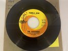 THE SURVIVORS Pamela Jean After The Game 45 Capitol Brian Wilson Beach Boys Rare