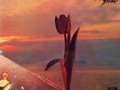 Parachute by Pretty Things (Record, 2014)
