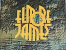 ELMORE JAMES   To Know A Man   12” Double LP BLUE HORIZON 1969 7-66230 UK Vinyl