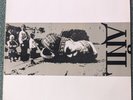 The Anti Nowhere League  – The Perfect Crime (1987 EX/EX vinyl LP)