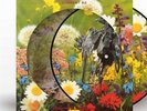 Swastikas for Noddy-Picture Disc by Current 93 (Record, 2024)