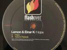 Lemon & Einar K Hope / Autumn Radicals Indie Folk Pop Vinyl Record Lp New Music