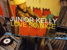 Junior Kelly, Love So Nice, 2001 VP Records US 1st Press Vinyl LP SEALED  Reggae