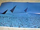 Pink Floyd The Dark Side Of The Moon Blue 1973 Pyramid 30