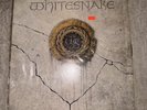 Whitesnake Self-Titled 1987 Vinyl LP w/Inner Sleeve Geffen Records GHS 24099 OG