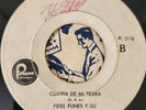 FIDEL FUNES - CUMBIA DE MI TIERRA  MARIMBA CUMBIA GUATECUMBIA HEAR AUDIO
