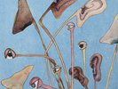Cosmo Sheldrake Eye To the Ear LP Vinyl