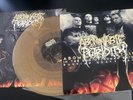 Abominable Putridity 12' Vinyl In The End Of Human Devourment Cephalotripsy