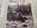 R.E.M. MURMUR I.R.S. RECORDS GREY TRANLUCENT 1983 PRESSING EXCELLENT