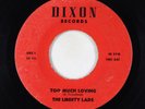 Garage 45 - Liberty Lads - Too Much Loving - Dixon - rare