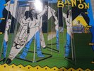 Mad Professor Catches Pato Banton, Vinyl Record