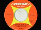 Garage Fuzz 45 - Rites Of Spring - Comin' On Back To Me - Parkway