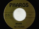 Surf Inst. 45 - Polaras - Breaker/Cricket - Pharos VG+