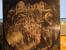 Graveland Carpathian Wolves picture disk LP