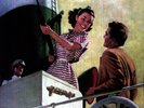Holiday - The Magnetic Fields - Record Album, Vinyl LP