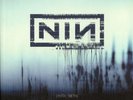 NINE INCH NAILS - With Teeth - Vinyl (gatefold 2xLP + booklet + insert)