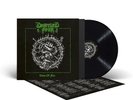 DESERTED FEAR - veins of fire LP black