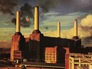 Pink Floyd/Animals SHVL815 Used LP