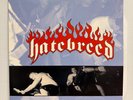 Hatebreed Satisfaction Is The Death Of Desire LP 2012 Reissue Grey Splatter