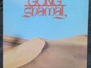 GONG - SHAMAL.  1976 UK JAZZ ROCK 12