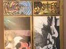 Sonic Youth Sister Vinyl 1987 Blast First Mute