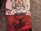 Red Hot Chili Peppers Blood Sugar Sex Magic Vinyl