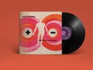 Pavement Spit On a Stranger (Vinyl) Limited  12