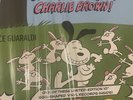 Charlie Brown Easter Beagle Egg Vinyl Record Store Day