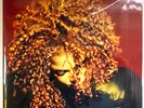 Janet Jackson The Velvet Rope LP Album vinyl record 2 x 2019 reissue gatefold