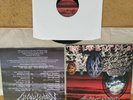 MONSTROSITY - Millennium   LP   1996/2010    NIGHT OF THE VINYL DEAD  rare press