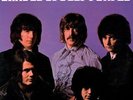 DEEP PURPLE - Shades Of Deep Purple 2022 Argentinian Vinyl LP New