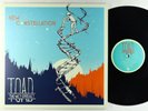 Toad The Wet Sprocket - New Constellation 2xLP - Abe's