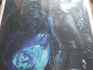 Too True by Dum Dum Girls - vinyl - signed - autographed