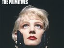 The Primitives The Best of the Primitives (Vinyl) (UK IMPORT)