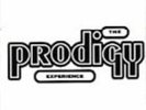 The Prodigy - Experience [VINYL]